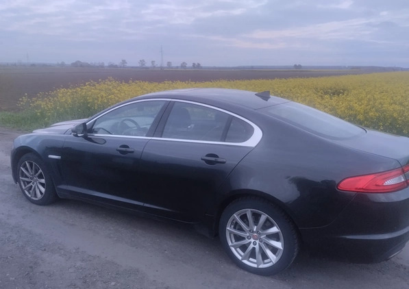 Jaguar XF cena 45500 przebieg: 114000, rok produkcji 2015 z Polkowice małe 37